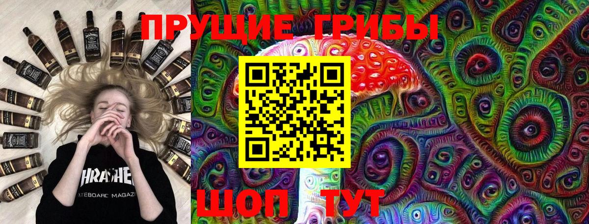закладка  Галлюциногенные грибы GOLDEN TEACHER  Псилоцибиновые грибы Psilocybine cubensis  Вход с VPN  Ревда 