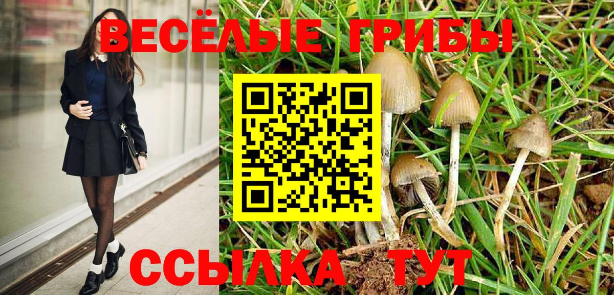 Псилоцибиновые грибы прущие грибы Ревда